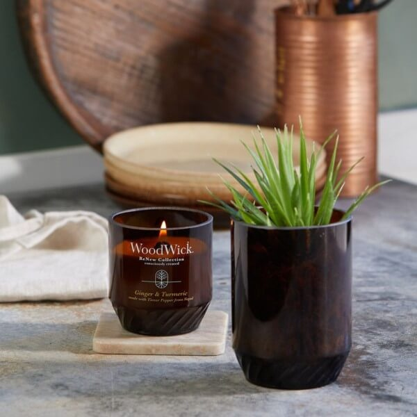 WoodWick Renew Ginger & Turmeric 184g