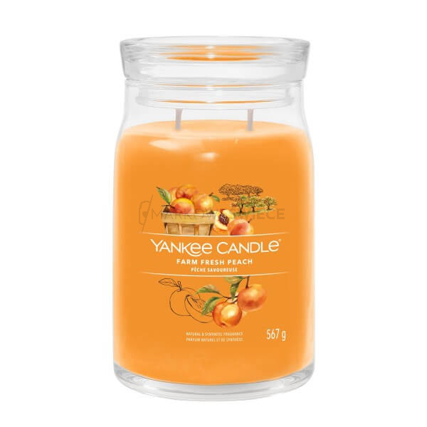 Yankee Candle Farm Fresh Peach Signature Duża Świeca 567g