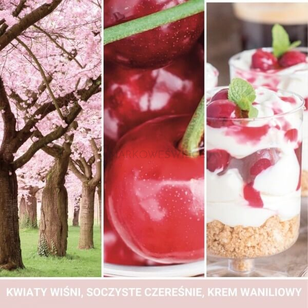 Yankee Candle Pink Cherry & Vanilla Signature Duża Świeca 567g