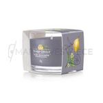 Yankee Candle Black Tea & Lemon Mini Świeczka 37g