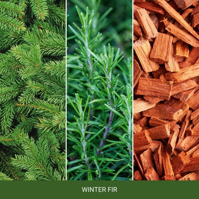 Yankee Candle Winter Fir Wosk Zapachowy 75g