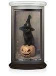 Kringle Candle Cute Black Cat on a Pumpkin Duża Świeca Zapachowa 624g