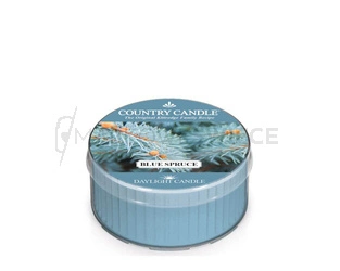 Country Candle Blue Spruce Świeca Daylight 42g