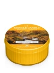 Kringle Candle Amberwood Moss Świeczka Daylight 42g