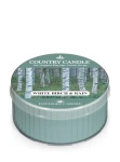 Country Candle White Birch & Rain Świeca Daylight 42g