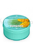 Country Candle Mango Nectar Świeca Daylight 42g