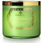 Colonial Candle Fresh Anjou Świeca Zapachowa Tumbler 411g