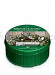 Kringle Candle Juniper & Laurel Świeczka Daylight 42g
