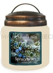 Chestnut Hill Spruceberry Świeca Zapachowa 510g