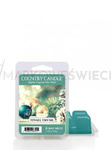 Country Candle Tinsel Thyme Wosk Zapachowy 64g