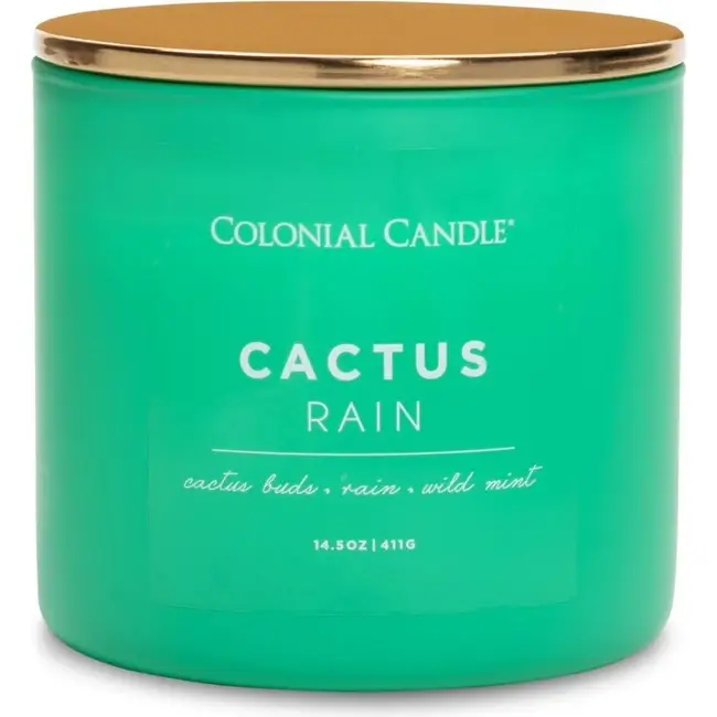 Colonial Candle Cactus Rain Świeca Zapachowa Tumbler 411g