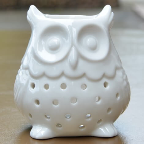 Zen'Arôme Kominek Zapachowy Na Olejki Owl White