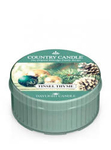 Country Candle Tinsel Thyme Świeca Daylight 42g