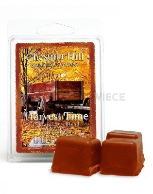 Chestnut Hill Harvest Time Wosk Zapachowy 85g