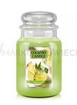 Country Candle Pineapplerita Duża Świeca Zapachowa 652g