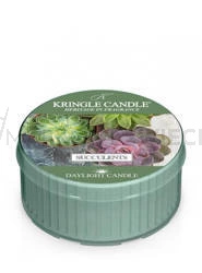 Kringle Candle Succulents Świeczka Daylight 42g