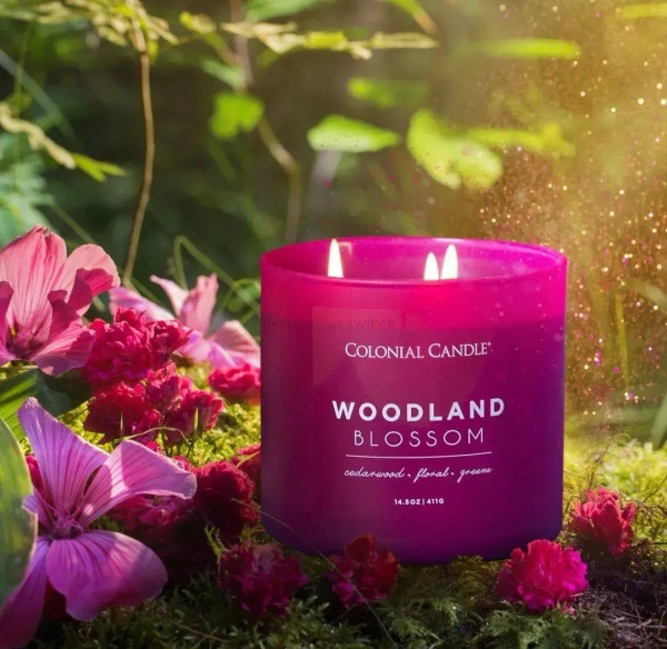 Colonial Candle Woodland Blossom Świeca Zapachowa Tumbler 411g