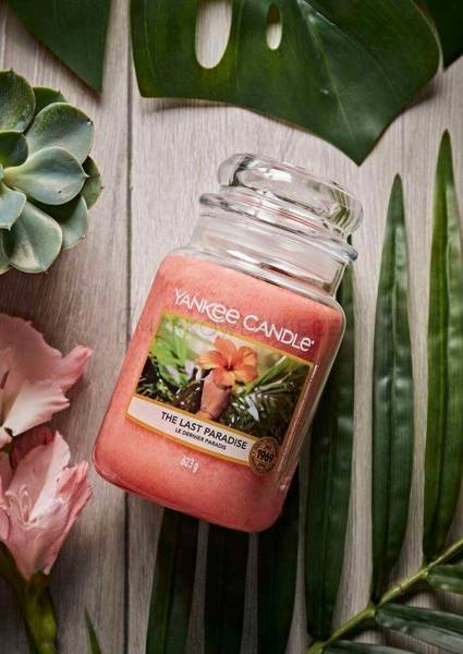 Yankee Candle The Last Paradise Duża Świeca Zapachowa 623g