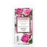 Colonial Candle Garden Peony Wosk Zapachowy 77g