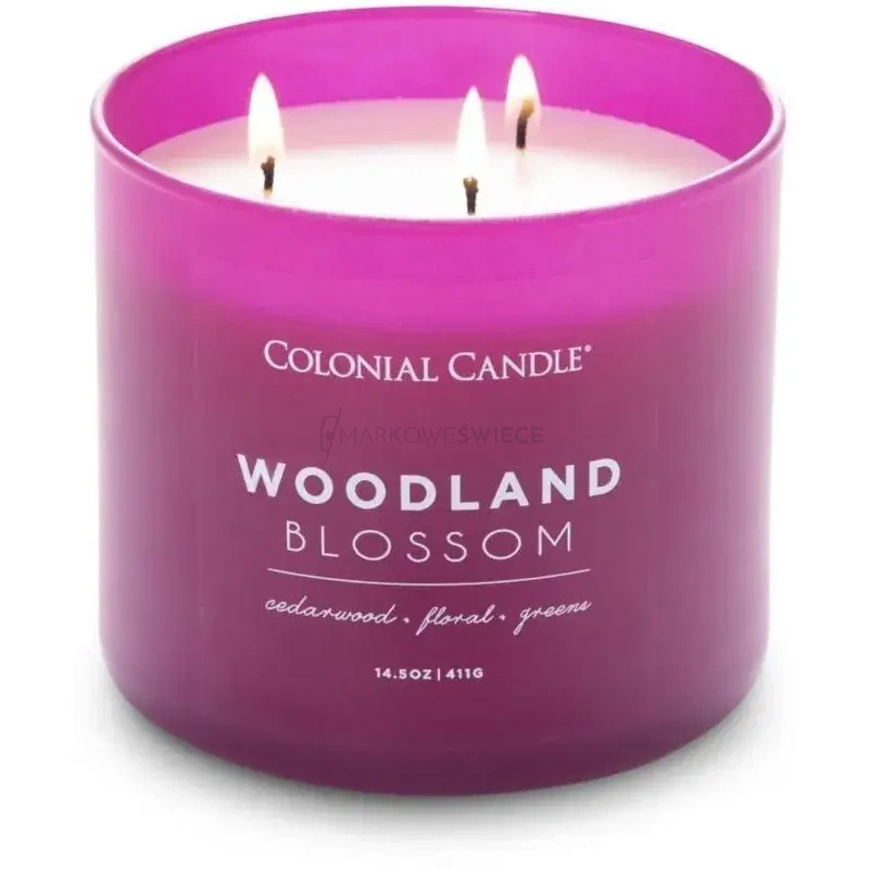 Colonial Candle Woodland Blossom Świeca Zapachowa Tumbler 411g