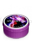 Kringle Candle Spellbound Świeczka Daylight 42g