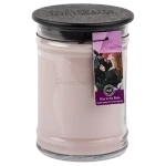 Bridgewater Candle Kiss in the Rain Świeca Zapachowa 524g
