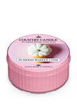 Country Candle Pumpkin Waffle Cone Świeca Daylight 42g