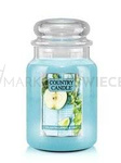 Country Candle Cilantro, Apple & Lime Duża Świeca Zapachowa 652g