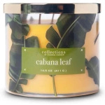 Colonial Candle Cabana Leaf Świeca Zapachowa Tumbler 411g