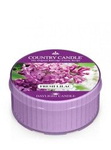 County Candle Fresh Lilac Świeca Daylight 42g