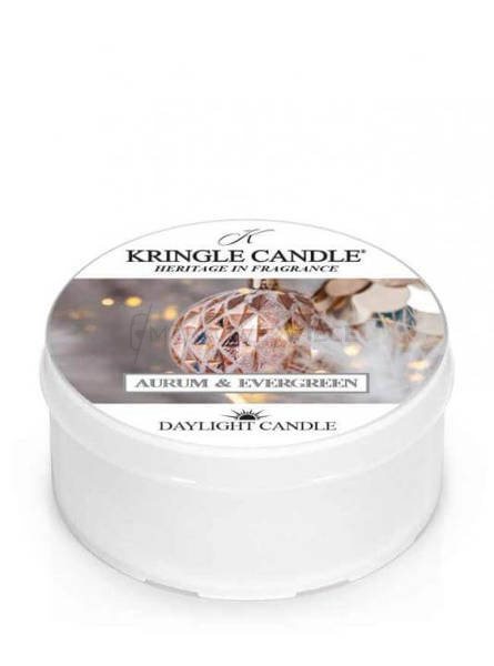 Kringle Candle Aurum Evergreen Świeczka Daylight 42g