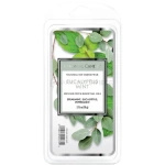 Colonial Candle Eucalyptus Mint Wosk Zapachowy 77g