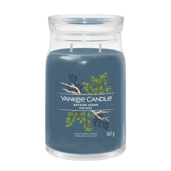 Yankee Candle Bayside Cedar Signature Duża Świeca 567g