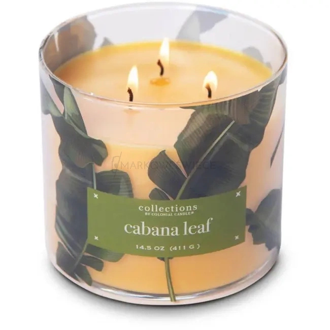 Colonial Candle Cabana Leaf Świeca Zapachowa Tumbler 411g