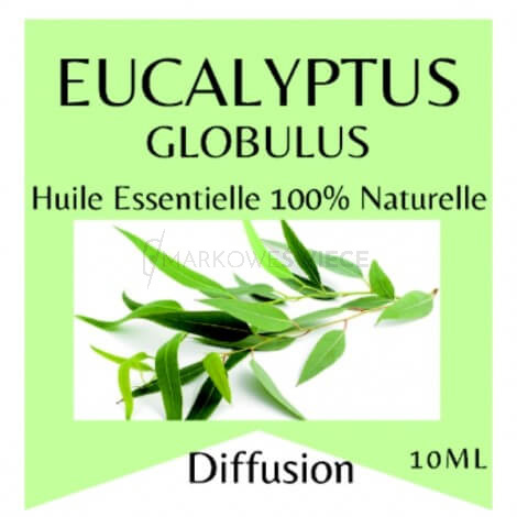 Zen'Arôme Olejek Eteryczny Eukaliptus Globulus 10 ml