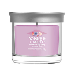 Yankee Candle Summit Stargazing Mała Świeca 122g