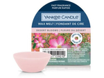 Yankee Candle Desert Blooms Wosk Zapachowy Pudełko 22g