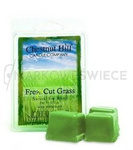Chestnut Hill Fresh Cut Grass Wosk Zapachowy 85g