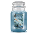 Country Candle Blue Spruce Duża Świeca Zapachowa 652g