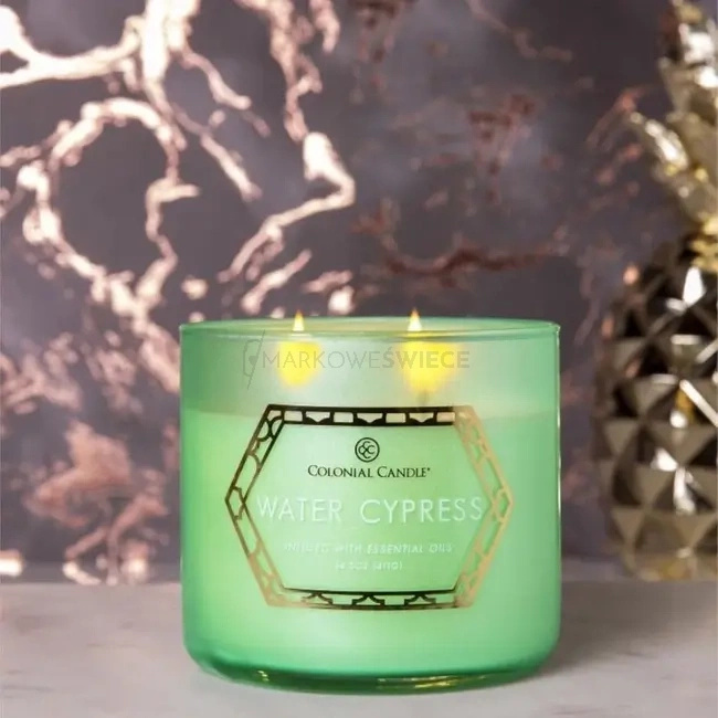 Colonial Candle Water Cypress Świeca Zapachowa Tumbler 411g