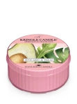 Kringle Candle Avocado & Palm Świeczka Daylight 42g
