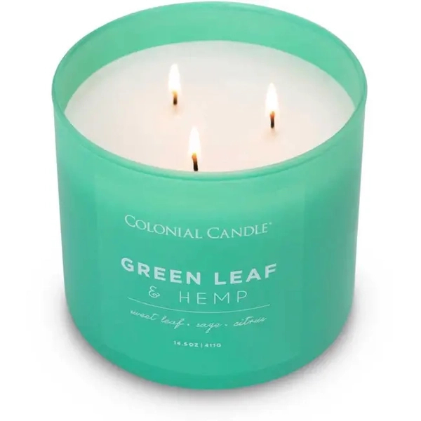 Colonial Candle Green Leaf Hemp Świeca Zapachowa Tumbler 411g