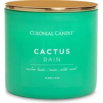 Colonial Candle Cactus Rain Świeca Zapachowa Tumbler 411g