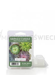 Kringle Candle Succulents Wosk Zapachowy 64g