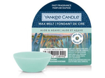 Yankee Candle Aloe & Agave Wosk Zapachowy Pudełko 22g