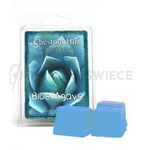 Chestnut Hill Blue Agave Wosk Zapachowy 85g