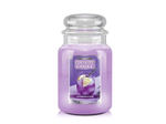 Country Candle Lavender Elixir Duża Świeca Zapachowa 652g