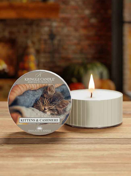 Kringle Candle Kittens & Cashmere Świeczka Daylight 42g
