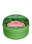 Country Candle Pine & Pomelo Świeca Daylight 42g