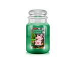 Country Candle Holiday Sweets Duża Świeca Zapachowa 652g